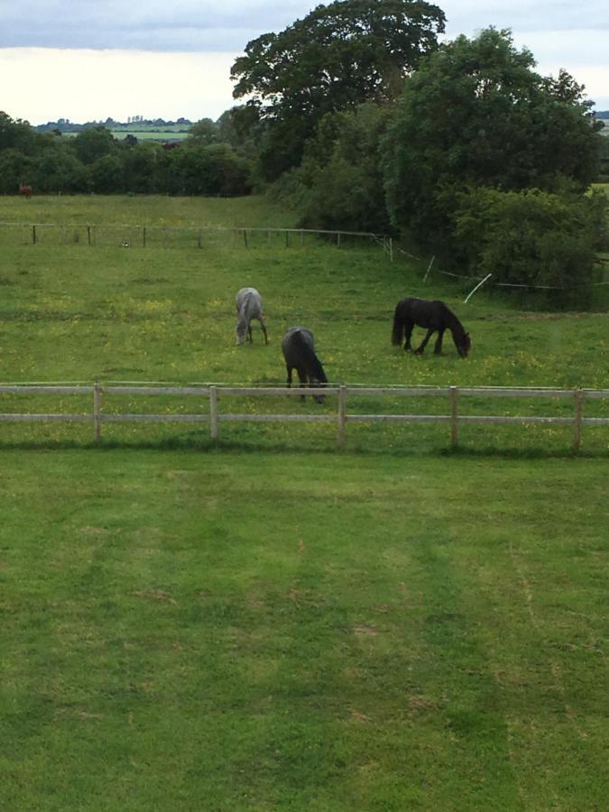Folly Fields Farm